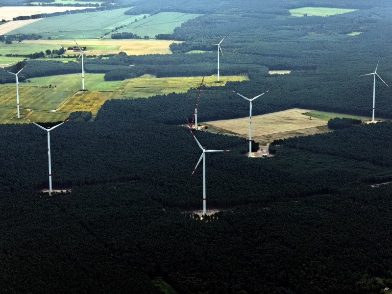 Wind energy in the forest